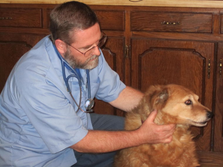 Belton veterinarian
